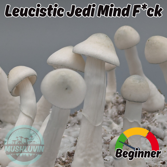 Leucistic Jedi Mind F*ck Liquid Research Culture