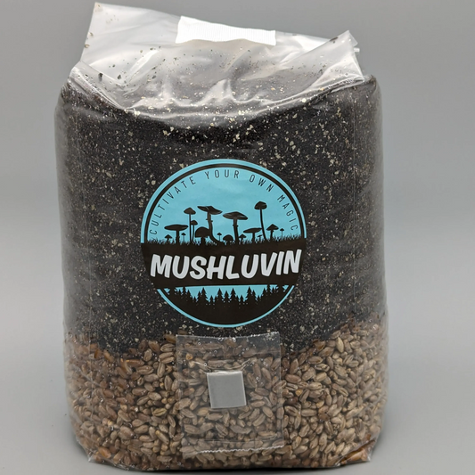 MegaLuv Bag – 5lb All-In-One Mushroom Grow Bag