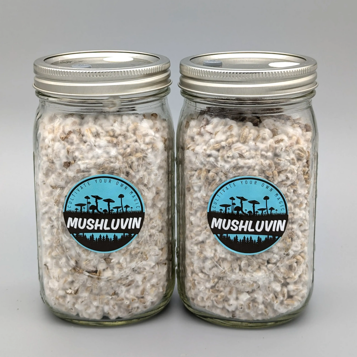 LuvSpawn Research Jars (Set of Two) – Pre-Prepared Research Grain