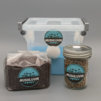 MicroLuvin Grow Kit – Small but Mighty!