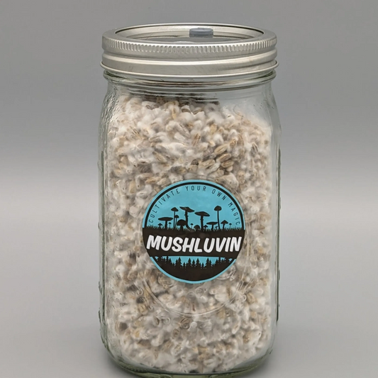 LuvSpawn Research Jar (Single) – Pre-Prepared Research Grain