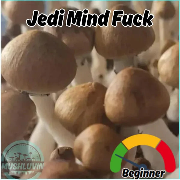 Jedi Mind F*ck Liquid Research Culture